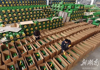 備戰(zhàn)雙十一，薯類產(chǎn)品銷售攻略