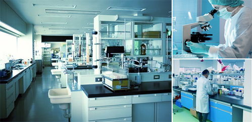 妝品面膜代加工,選對實力是關鍵