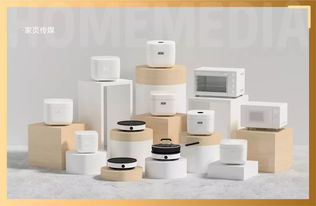 楊華 科技改變廚房,持續(xù)創(chuàng)新讓純米從0走到10個億